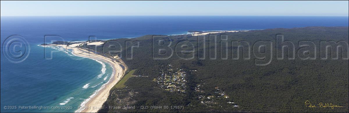 Peter Bellingham Photography Orchid Beach - Fraser Island - QLD (PBH4 00 17957)